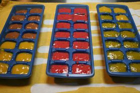 baby-food-in-ice-cube-trays-by-girlonthewire.jpg