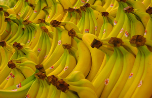 banana-bunches-by-sergeant-killjoy.jpg