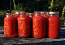 canning-tomatoes-canned-tomatoes-by-andrewatla.jpg