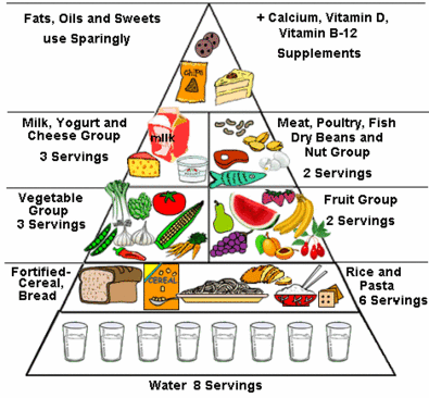 food-pyramid.gif
