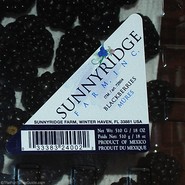blackberries-from-florida-or-mexico.jpg
