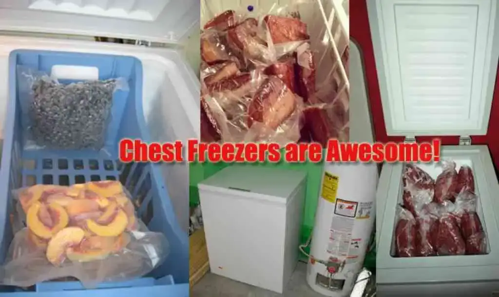 Does Having a Deep Freezer Save You Money?