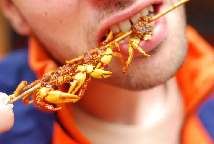Food on a stick can be a delicacy in some countries or an everyday food in others. Check out these weird foods!... photo by magical-world on Flickr