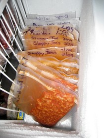 foodsaver-bags-of-frozen-food-by-danperrydotcom.jpg