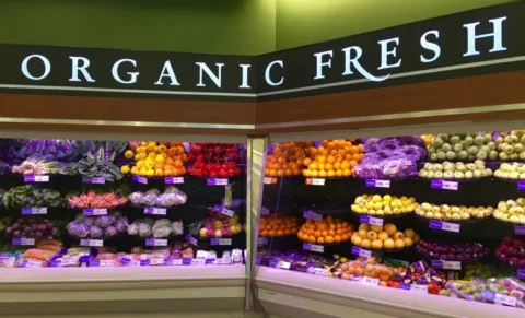 organic-fruits-and-vegetables