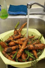 washing-carrots-by-Sarah_Serendipity.jpg