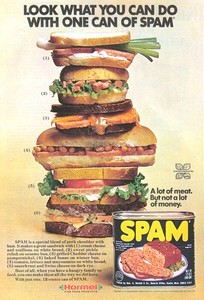 ways-to-eat-spam-by-ibcurio.jpg